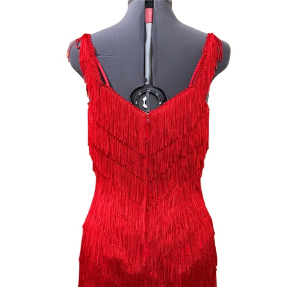 Vintage Red Flapper Dress Dovizia by Jane McCartney - Picture 6 of 8